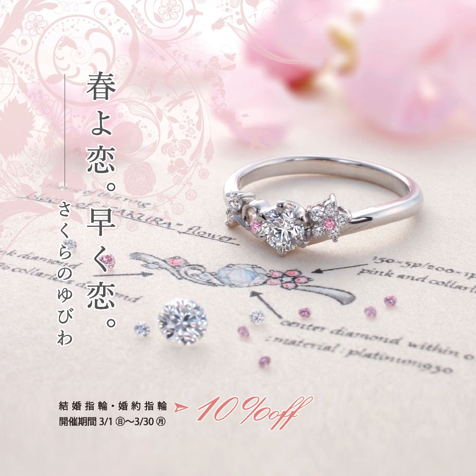 3月フェア情報 3月フェア情報